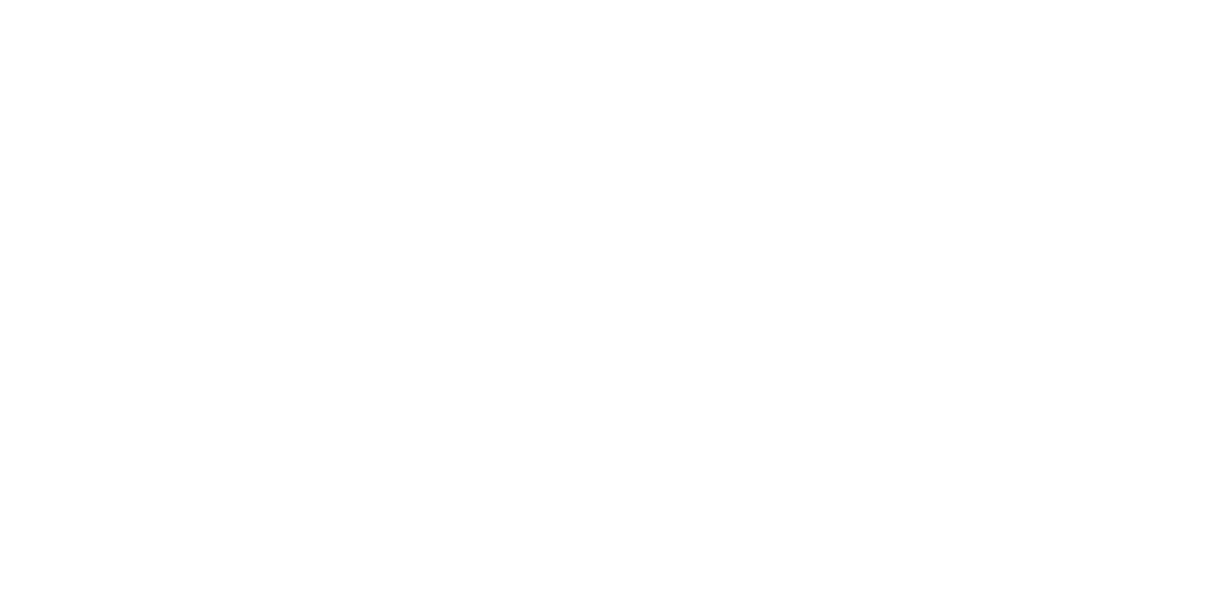 College storage project alternative logo white